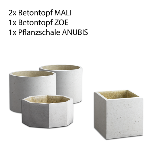 Blumentopf Set aus Beton. Du bist ein DSCHUNGELKÖNIG in deiner eigenen Wohnung? - oder hast schon die Kontrolle über deinen Dschungel verloren?